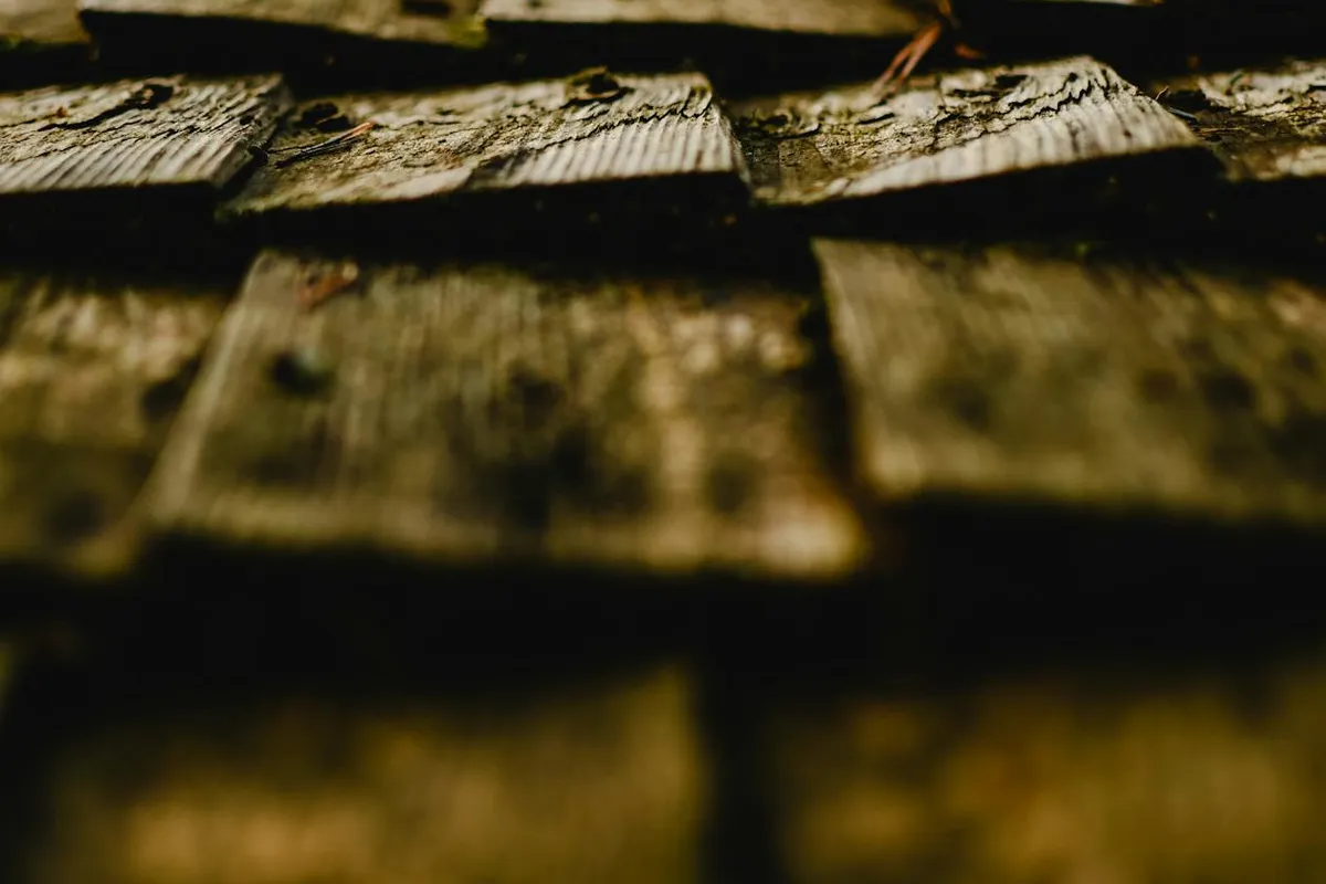 Side by side comparison of standard architectural shingles and premium dimensional shingles on a Texas home